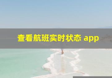 查看航班实时状态 app